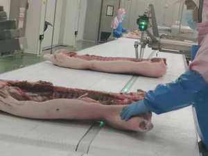 Línea de Producción Industrial de Carne para Procesamiento de Alimentos en Mataderos y Plantas de Sacrificio - Product Image 2