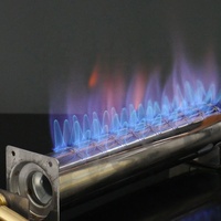 Nouveau brûleur à gaz pré-mélangé en acier inoxydable, tube de chauffage à surface chaude, éléments chauffants, pièce de rechange pour équipement de boulangerie |   BNGAS 1 an