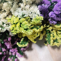 Arrangement de fleurs naturelles préservées - Myosotis Sylvatica, Statice Limonium - Décorations de mariage d'intérieur