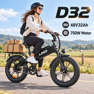 Vélo de livraison de marchandises D32, 750W, 48V32Ah, frein à disque hydraulique, charge utile de 200 kg, vélo électrique d'usine OEM - Product Image 1
