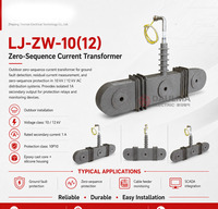 Transformateur de courant zéro-sequence LJ-ZW-10(12) CT 10/12kV 20/50A 1A 10P10 Extérieur