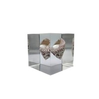 Presse-papiers en résine transparente avec coquillage conque intégré, véritable spécimen de coquillage marin, collection, décoration, artisanat, cadeau pour salle de classe, musée