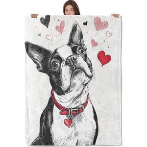 Valentine Heart Flannel <b>Blanket</b> Throw <b>Blanket</b> Nap <b>Blanket</b> Couple Gift Love Gift Reversible Cozy Warm <b>for</b> Winter Warmth OEM ODM - Product Image 1