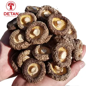 DETAN निर्यात थोक सूखे Shiitake मशरूम खरीदने सूखे shiitake मशरूम