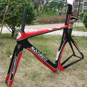 Naturefly Carbon TT Bike Triathlon Time Trial Frame TT Road Bicycle frame 700c