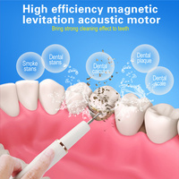 Herramienta Portátil para Eliminar la Placa Dental, Eliminador de Placa Recargable para Dientes, Raspador de Dientes, Eliminador de Sarro, Herramientas Dentales