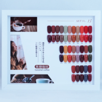 Ensemble de vernis gel 24 couleurs tons terre automne UV LED Soak-Off, gel à ongles marron, étiquette privée personnalisée OEM pour salon de manucure