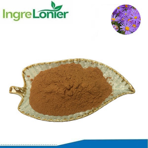 <span class=keywords><strong>Aster</strong></span> <span class=keywords><strong>tataricus</strong></span> gốc & rhizome chiết xuất bột trong kho số lượng lớn - Product Image 2