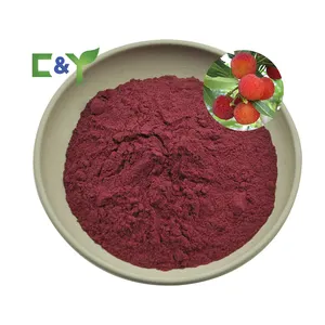 Manufacturers selling pure waxberry concentrate freezed dry waxberry powder