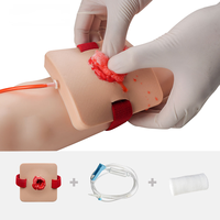 Modelo Anatómico de PVC para Simulación de Heridas Traumáticas, Módulo de Práctica para Entrenamiento en Escuelas de Medicina - Maniquíes de Primeros Auxilios para Hemostasia