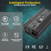 Chargeur de batterie LiFePO4 Lii-14 .6V20A, FastGel Deep Cycle, utilisé pour les voitures et les motos, avec prise standard européenne