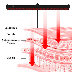 Đèn trị liệu hồng ngoại chất lượng cao 3000W, trị liệu ánh sáng đỏ chuyên nghiệp, đèn LED trị liệu PDT mới <span class=keywords><strong>2026</strong></span> - Product Image 2