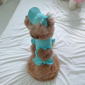 Mascota Primavera Verano amor hueco camiseta sin mangas sombrilla sombrero pequeño <span class=keywords><strong>mediano</strong></span> gato perro <span class=keywords><strong>maltés</strong></span> Yorkshire Terrier mascota al aire libre lindo conjunto - Product Image 2