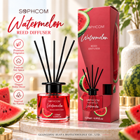 Diffuseur de parfum d'ambiance en verre avec bâtonnets en fibre, décoration aromatique pour la maison, vente en gros, fabricant, emballage personnalisé avec logo