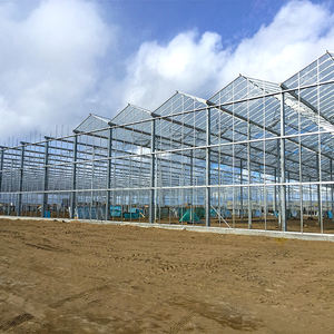 Grand système hydroponique Venlo Glass Green House Invernadero pour <span class=keywords><strong>tomates</strong></span>, laitues, <span class=keywords><strong>serres</strong></span> agricoles aquaponiques Smart Farm - Product Image 6
