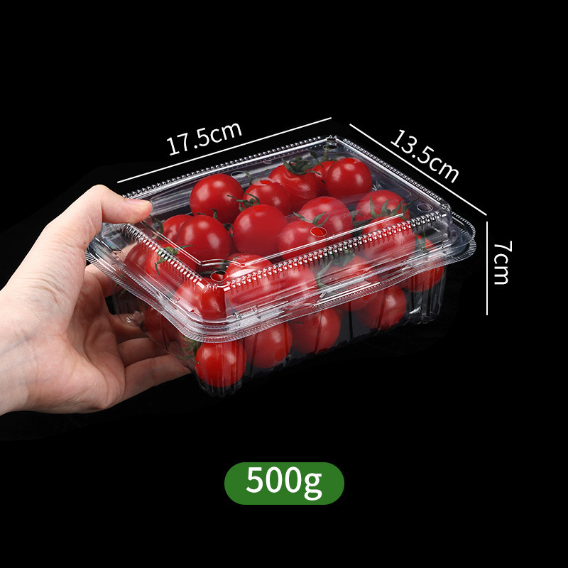 500g fruit box