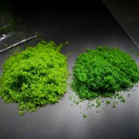 NINI Natürliche Bunte Getrocknete Ewige Moos-Wandkunst Konservierte Blumen Pflanzen Wasserdicht UV-Beständig Hochzeit Weihnachten