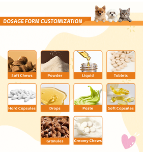Gotas para Alergias e Inmunidad <span class=keywords><strong>en</strong></span> Mascotas OEM/ODM, Alivio de Alergias, Soporte Inmunológico, Suplemento Nutricional, Gotas Líquidas Orales para Perros, Venta al Por Mayor - Product Image 4