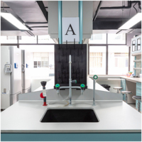 Muebles de Laboratorio Modernos SCEELAB, Totalmente de Acero, con Superficie de Resina Fenólica para Mesa de Laboratorio, Funcionales y Versátiles