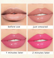 Logo personnalisé paillettes rose PH changement de couleur huile de brillant à lèvres en gros en vrac brillant à lèvres
