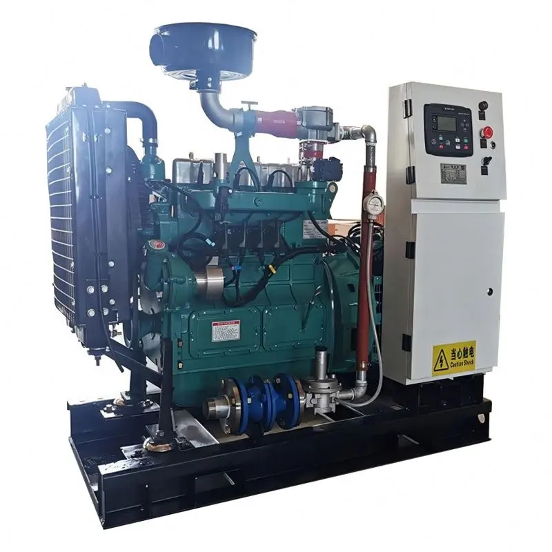 CE & ISO Syngas metana 62,5 kVA 50kW biaya Generator Gas alami