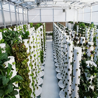 Tour de culture hydroponique et aéroponique intelligente à LED, verticale, pour économiser de l'espace, pour l'intérieur et l'extérieur, pour la culture de légumes et de fraises