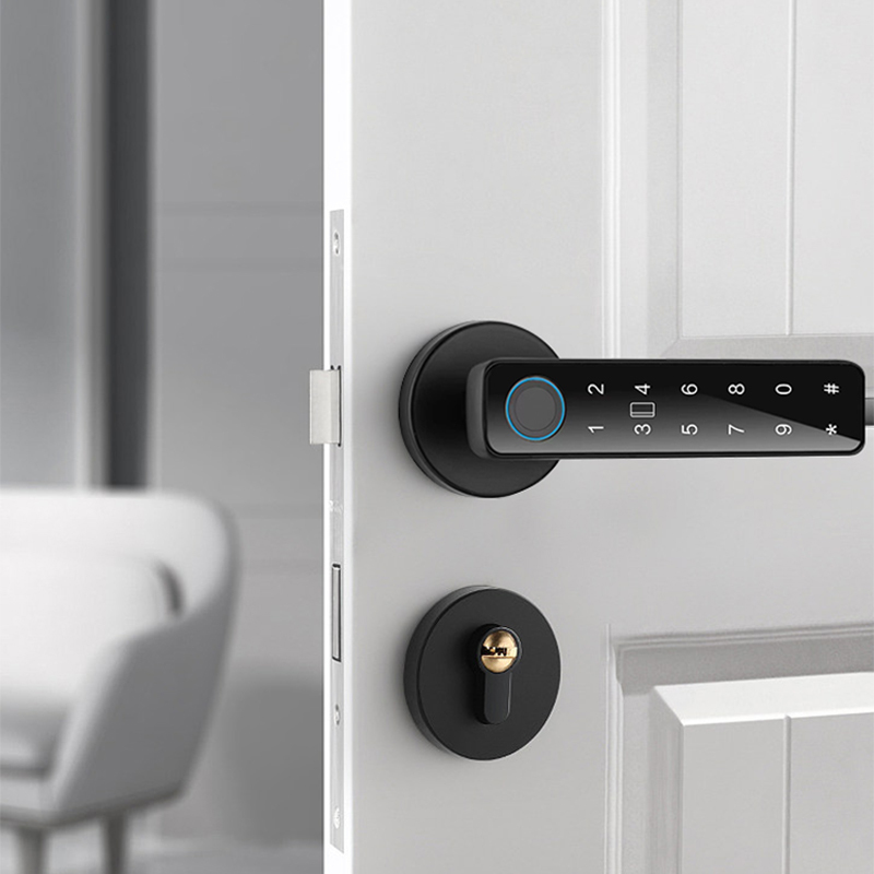 Home Tuya Biometric Smart Door Lock