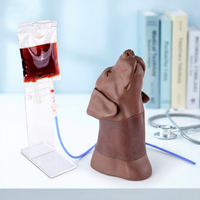 Modèle d'entraînement pour la ponction veineuse canine de la tête et du cou, pour la collecte de sang de la veine jugulaire externe du chien, avec circulation sanguine simulée