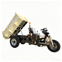 Tricycle cargo diesel chinois économique de 2,5 tonnes, 3 roues, pour usage agricole et d'ingénierie, modèle ZL250II avec pompe à moteur et roulement d'engrenage