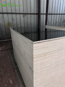 Encofrado de panel laminado fenólico de diseño moderno respetuoso con el medio ambiente, alto volumen de negocios, resistente, liso, sitio plano, acabado transparente 1 - Product Image 6