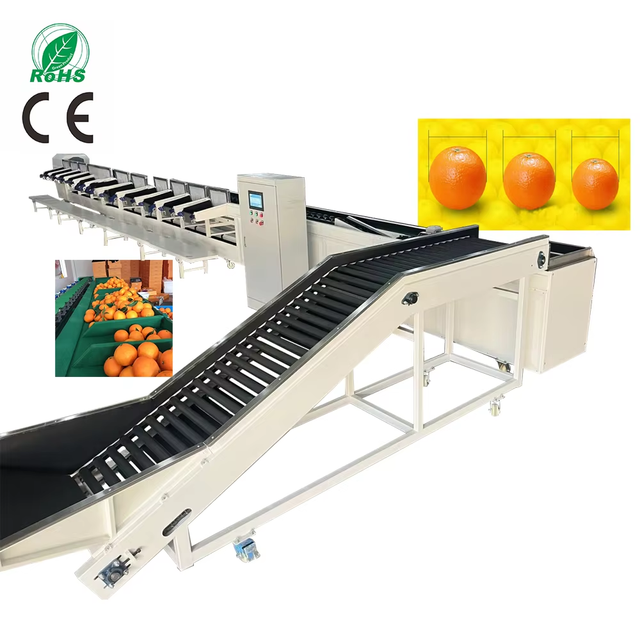 User-Friendly Sorting Machine for Strawberry with Conveyor Belt