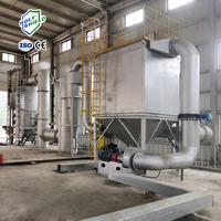 Incinerador de Residuos Peligrosos Personalizado para Co-procesamiento Industrial de Gases Sólidos, Pirólisis de Reducción de Volumen para la Industria del Embalaje