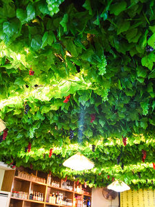 Plantas Artificiales Colgantes para Techo, Flores Artificiales, Decoración para Techo, Venta Directa de Fábrica - Product Image 4