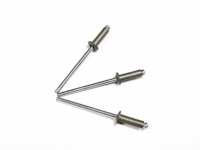 Rivets aveugles en aluminium à tête dôme rainurée avec mandrin 3.2mm 4.0mm 4.8mm sur mesure pour fixation de tôles
