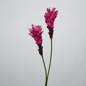 H1029 Fiori Artificiali a Stelo Lungo: Giglio Zenzero, Cereus Notturno, Amaryllis - Decorazioni per Tavolo da Soggiorno e Oggetti di Scena per Studio Fotografico - Product Image 4