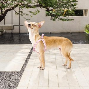 QQPETS, juego de correa de arnés para perros, arnés ajustable de alta resistencia sin tirones, arneses Halter, perros de raza pequeña, mediana y grande, Clip trasero antigiro - Product Image 5