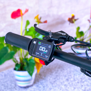 Chuyển tiếp/đảo ngược chức năng 12 "điện handbike 25 km/h điện xe lăn tập tin đính kèm handcycle với CE - Product Image 6