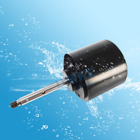 Moteur à courant continu pour bateau à propulseur à jet d'eau 24V 36V 48V 500W 750W 1000W 1HP moteur submersible électrique étanche à courant continu