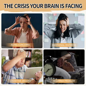 Suplemen Diet Nutrisi Otak Kapsul Peningkat Kognitif untuk Meningkatkan Kualitas Tidur dan Kesehatan Otak Mendukung Depresi dan Kecemasan - Product Image 3