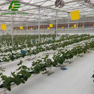 Malla Antihierbas Blanca para Jardines y Huertos, 2m X 50m, Membrana Antihierbas con Clavos <span class=keywords><strong>de</strong></span> Plástico para Fijación - Product Image 5