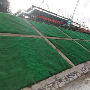 Venta caliente plástico 3D tela paisaje Geomat vegetación Geomat Erosion Control manta Geonet - Product Image 6