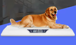 신제품 맞춤형 동물 체중계 스테인레스 스틸 초박형 전자 애완 동물 디지털 동물 체중계 - Product Image 3