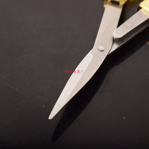 Tijeras de Pesca BoYuan de Acero Inoxidable Doradas 1804 Portátiles Multifuncionales para Viajes y Uso al Aire Libre - Product Image 1