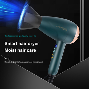 Trung Quốc Chức Năng Lạnh Không Khí 5kw Không Chổi Than 12V Dc Động Cơ Du Lịch Máy Sấy Tóc Với Lược Máy Sấy Tóc Và Volumizer Hot Air Brush - Product Image 2