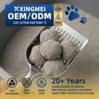 Lettiera per Gatti in Bentonite Frantumata a Base di Sodio, Senza Polvere, 5L, OEM ODM