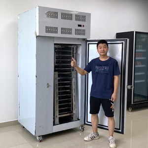 Congelatore a Piastre <span class=keywords><strong>Mr</strong></span>.Frio 15 Vassoi 500 Litri per Alimenti Congelati in Acciaio Inox 304 -40°C con Controllo Digitale e Congelamento Durevole - Product Image 1