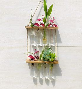 Hot Sale <b>Wall</b> Hanging Planter 2 Tiered Plant Propagation Stations Terrarium With Wooden Stand for Home Office Garden <b>Decor</b> - Product Image 4