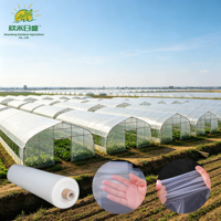 Film de serre résistant aux UV, transmission lumineuse, isolation thermique, couverture en plastique agricole pour la culture de légumes