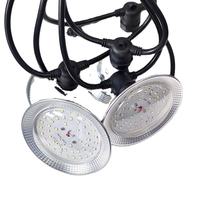 15W Full Spectrum Plant Lamp Voor Dragon Fruit Bacca Tomaat & Phyto Bollen Groeiende Waterdichte Outdoor Bloei Applicatie