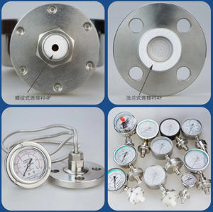 ตัววัดความดันไดอะแฟรมแบบหน้าแปลนเกจวัดความดันแบบบรรจุน้ำมัน - Product Image 4